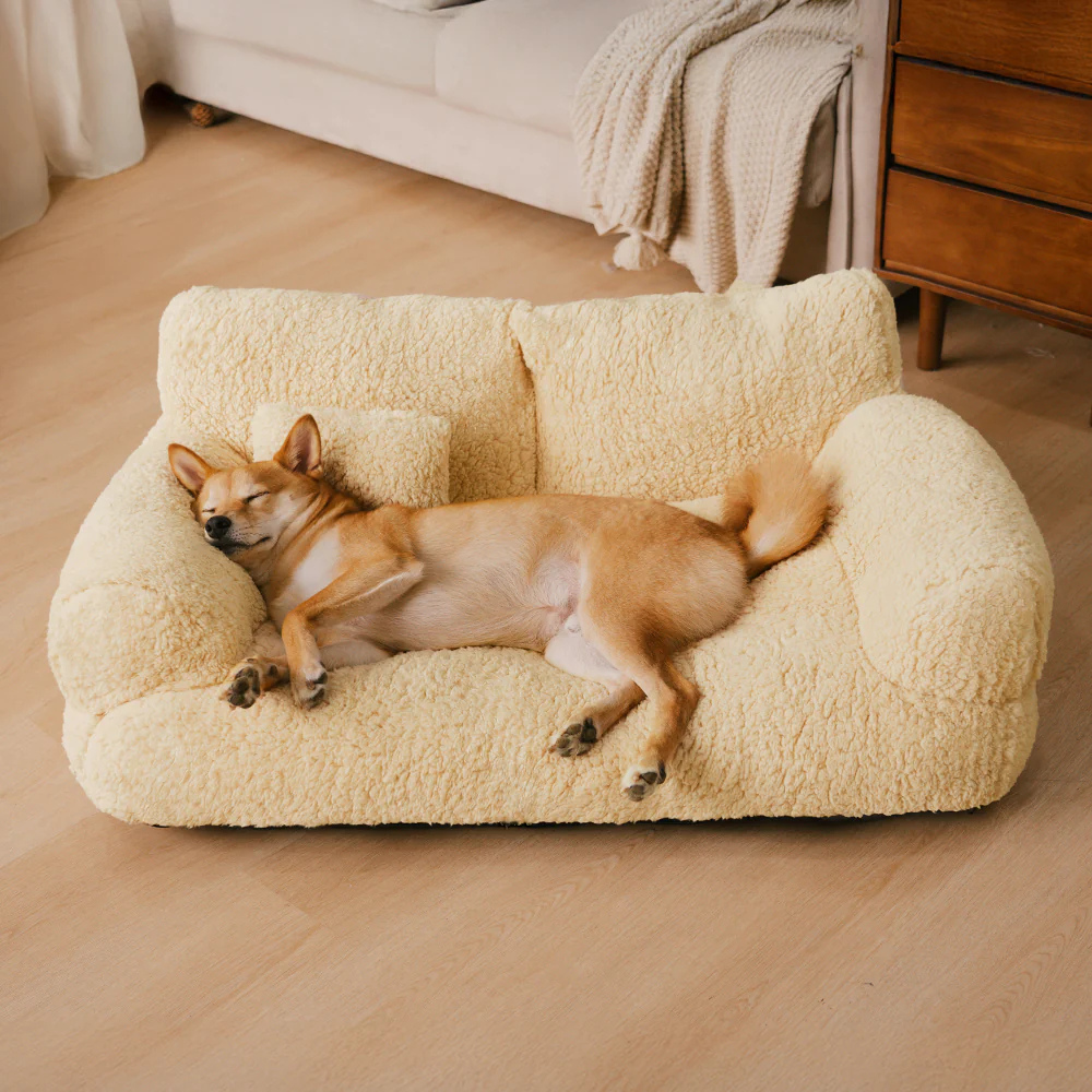 BaileyBeds CalmingSofa